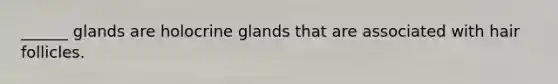 ______ glands are holocrine glands that are associated with hair follicles.