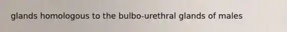 glands homologous to the bulbo-urethral glands of males