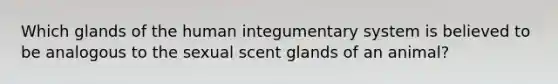 Which glands of the human integumentary system is believed to be analogous to the sexual scent glands of an animal?