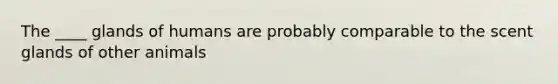 The ____ glands of humans are probably comparable to the scent glands of other animals
