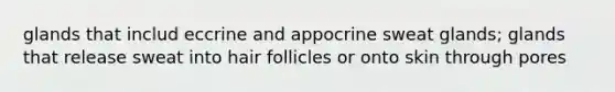 glands that includ eccrine and appocrine sweat glands; glands that release sweat into hair follicles or onto skin through pores