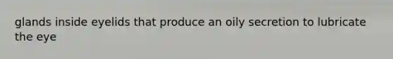 glands inside eyelids that produce an oily secretion to lubricate the eye
