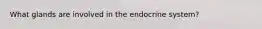 What glands are involved in the endocrine system?