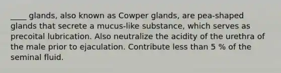 ____ glands, also known as Cowper glands, are pea-shaped glands that secrete a mucus-like substance, which serves as precoital lubrication. Also neutralize the acidity of the urethra of the male prior to ejaculation. Contribute less than 5 % of the seminal fluid.