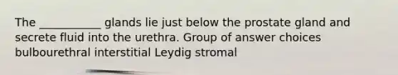 The ___________ glands lie just below the prostate gland and secrete fluid into the urethra. Group of answer choices bulbourethral interstitial Leydig stromal