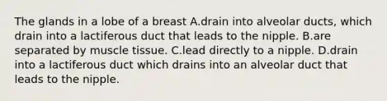 The glands in a lobe of a breast A.drain into alveolar ducts, which drain into a lactiferous duct that leads to the nipple. B.are separated by muscle tissue. C.lead directly to a nipple. D.drain into a lactiferous duct which drains into an alveolar duct that leads to the nipple.