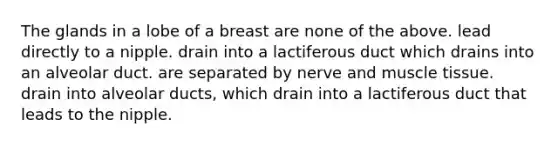 The glands in a lobe of a breast are none of the above. lead directly to a nipple. drain into a lactiferous duct which drains into an alveolar duct. are separated by nerve and muscle tissue. drain into alveolar ducts, which drain into a lactiferous duct that leads to the nipple.