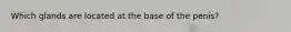 Which glands are located at the base of the penis?