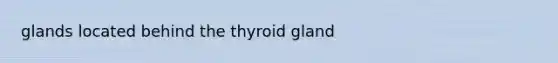 glands located behind the thyroid gland