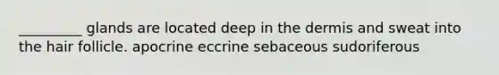 _________ glands are located deep in the dermis and sweat into the hair follicle. apocrine eccrine sebaceous sudoriferous