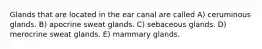 Glands that are located in the ear canal are called A) ceruminous glands. B) apocrine sweat glands. C) sebaceous glands. D) merocrine sweat glands. E) mammary glands.