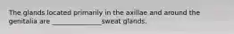 The glands located primarily in the axillae and around the genitalia are _______________sweat glands.