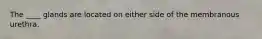 The ____ glands are located on either side of the membranous urethra.​