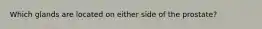 Which glands are located on either side of the prostate?