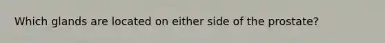 Which glands are located on either side of the prostate?