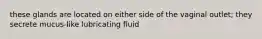 these glands are located on either side of the vaginal outlet; they secrete mucus-like lubricating fluid