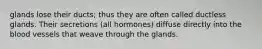 glands lose their ducts; thus they are often called ductless glands. Their secretions (all hormones) diffuse directly into the blood vessels that weave through the glands.