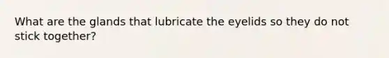 What are the glands that lubricate the eyelids so they do not stick together?