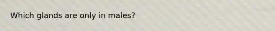 Which glands are only in males?