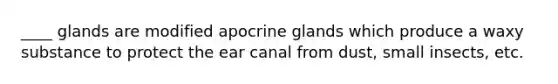 ____ glands are modified apocrine glands which produce a waxy substance to protect the ear canal from dust, small insects, etc.