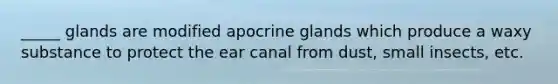 _____ glands are modified apocrine glands which produce a waxy substance to protect the ear canal from dust, small insects, etc.