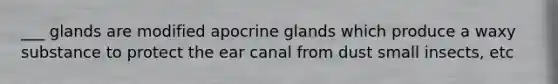 ___ glands are modified apocrine glands which produce a waxy substance to protect the ear canal from dust small insects, etc