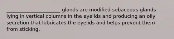 ______________________ glands are modified sebaceous glands lying in vertical columns in the eyelids and producing an oily secretion that lubricates the eyelids and helps prevent them from sticking.