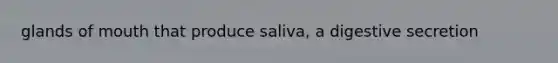 glands of mouth that produce saliva, a digestive secretion