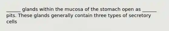 ______ glands within the mucosa of the stomach open as ______ pits. These glands generally contain three types of secretory cells