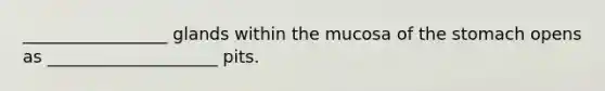 _________________ glands within the mucosa of the stomach opens as ____________________ pits.