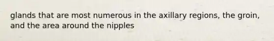 glands that are most numerous in the axillary regions, the groin, and the area around the nipples