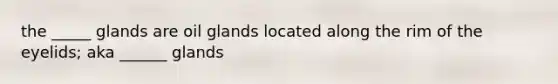 the _____ glands are oil glands located along the rim of the eyelids; aka ______ glands