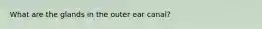 What are the glands in the outer ear canal?