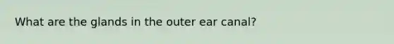 What are the glands in the outer ear canal?