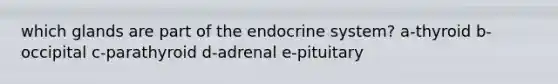 which glands are part of the endocrine system? a-thyroid b-occipital c-parathyroid d-adrenal e-pituitary