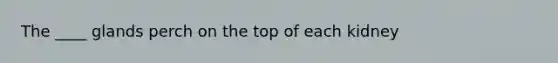 The ____ glands perch on the top of each kidney