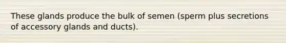 These glands produce the bulk of semen (sperm plus secretions of accessory glands and ducts).