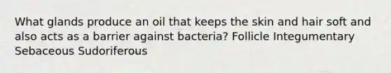 What glands produce an oil that keeps the skin and hair soft and also acts as a barrier against bacteria? Follicle Integumentary Sebaceous Sudoriferous