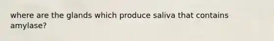 where are the glands which produce saliva that contains amylase?