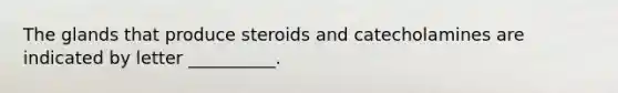 The glands that produce steroids and catecholamines are indicated by letter __________.