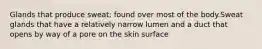 Glands that produce sweat; found over most of the body.Sweat glands that have a relatively narrow lumen and a duct that opens by way of a pore on the skin surface