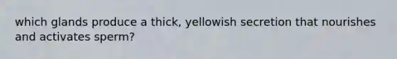 which glands produce a thick, yellowish secretion that nourishes and activates sperm?