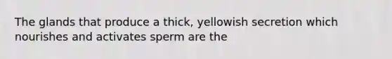 The glands that produce a thick, yellowish secretion which nourishes and activates sperm are the