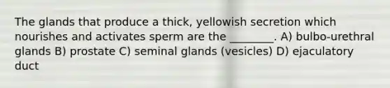 The glands that produce a thick, yellowish secretion which nourishes and activates sperm are the ________. A) bulbo-urethral glands B) prostate C) seminal glands (vesicles) D) ejaculatory duct