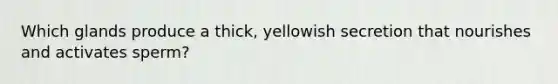 Which glands produce a thick, yellowish secretion that nourishes and activates sperm?