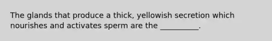 The glands that produce a thick, yellowish secretion which nourishes and activates sperm are the __________.