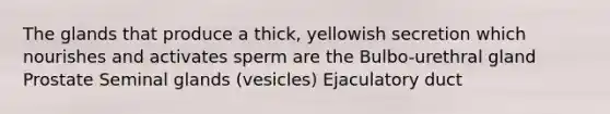 The glands that produce a thick, yellowish secretion which nourishes and activates sperm are the Bulbo-urethral gland Prostate Seminal glands (vesicles) Ejaculatory duct