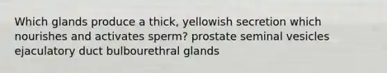 Which glands produce a thick, yellowish secretion which nourishes and activates sperm? prostate seminal vesicles ejaculatory duct bulbourethral glands