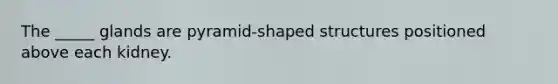 The _____ glands are pyramid-shaped structures positioned above each kidney.