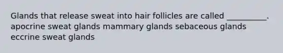 Glands that release sweat into hair follicles are called __________. apocrine sweat glands mammary glands sebaceous glands eccrine sweat glands